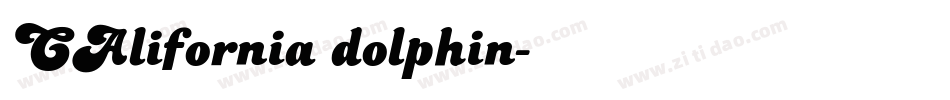 CAlifornia dolphin字体转换